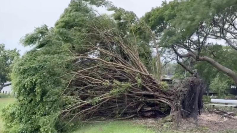 Çin’in Şanghay şehri, son 75 yılda gördüğü en şiddetli tayfunun etkisinde