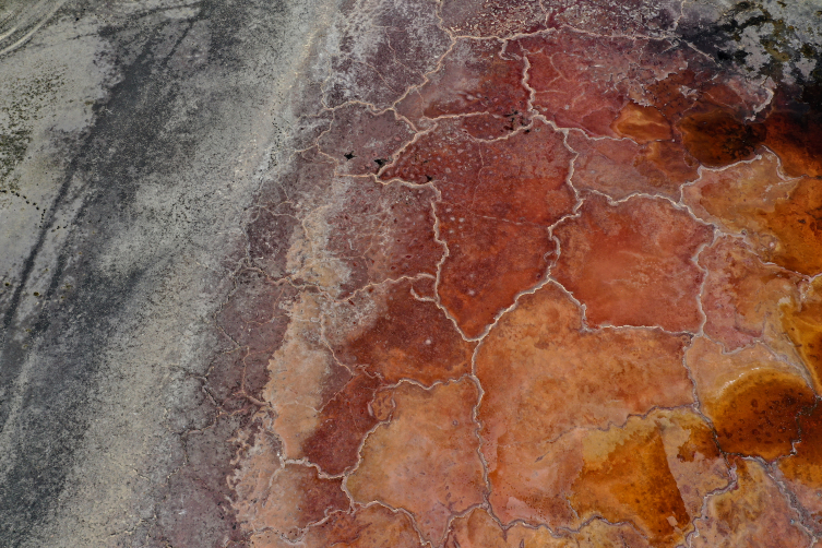 Ağrı Dağı’nın eteklerindeki bazı sulak alanlarda kuraklık yaşanıyor