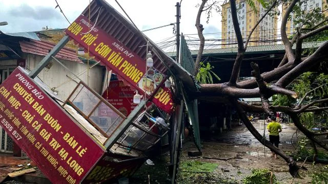 Vietnam’da Yagi Tayfunu nedeniyle ölenlerin sayısı 14’e çıktı