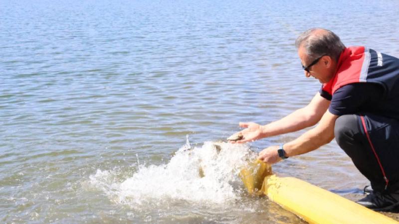 Kars’ta göllere 1 milyon 680 bin sazan balığı salındı