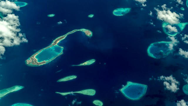 Araştırmacılar, 1.000’e yakın ‘kaybolan’ adayı inceledikten sonra şaşkına döndü