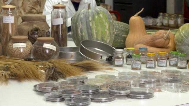 Bilim insanları, Dünya’nın biyolojik çeşitliliğini korumak için alışılmadık bir yöntem öneriyor