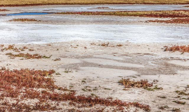 Bilim insanları, tarım sektörünü dönüştürebilecek toprak verimliliğinde çığır açan bir buluşa imza attı