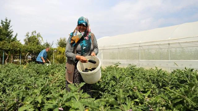 Doğal üretimle geçinen çift bahçesini devlet desteğiyle geliştirdi