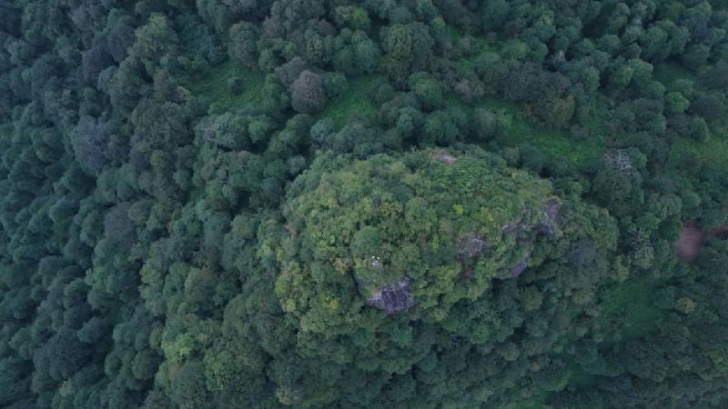 Artvin’de üç arkeolojik kazı alanında jeoradar çalışması yapıldı