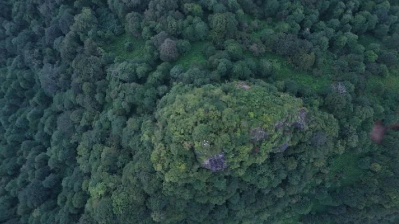 Artvin’de üç arkeolojik kazı alanında jeoradar çalışması yapıldı