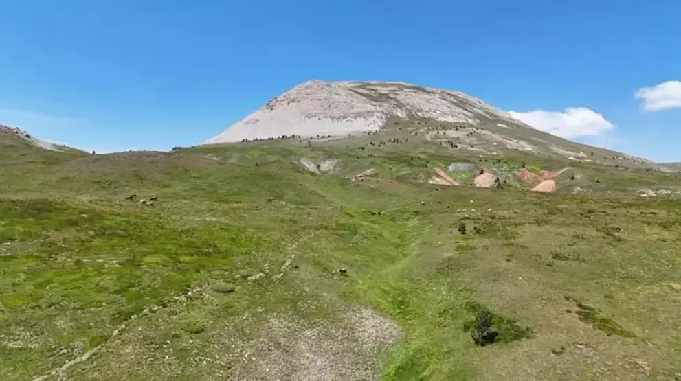 Organik yağ, yoğurt ve tereyağının adresi! Burada her şey katkısız ve doğal üretiliyor