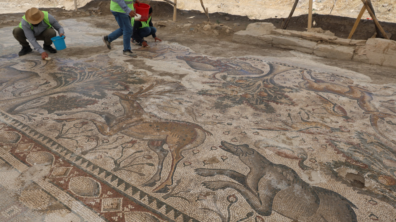 Tarlasını eken çiftçi toprağı kazınca şoku yaşadı! Şimdi paha biçilemiyor
