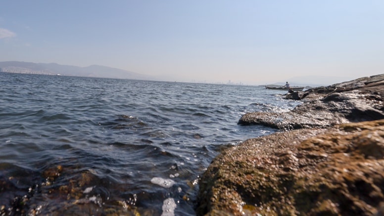 İzmir Körfezi’nde balık ölümlerinin önüne geçilemiyor