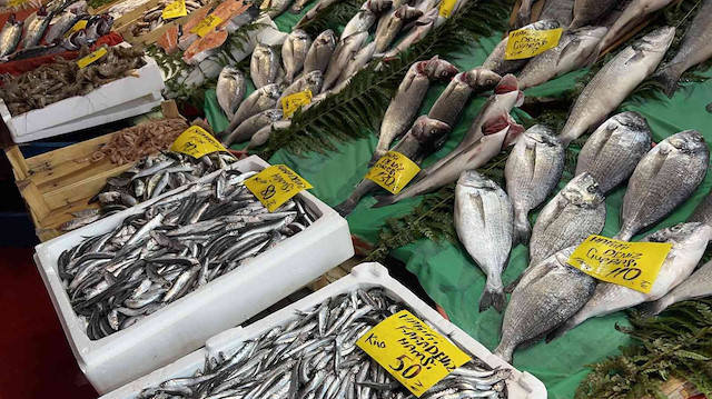  Yeni Av Sezonunda Hamsi 200 TL, Palamut 50 TL