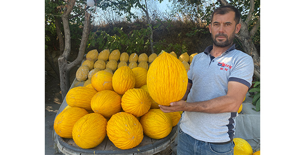 Kırkağaç Kavunu Hem Lezzetli Hem Dayanıklı