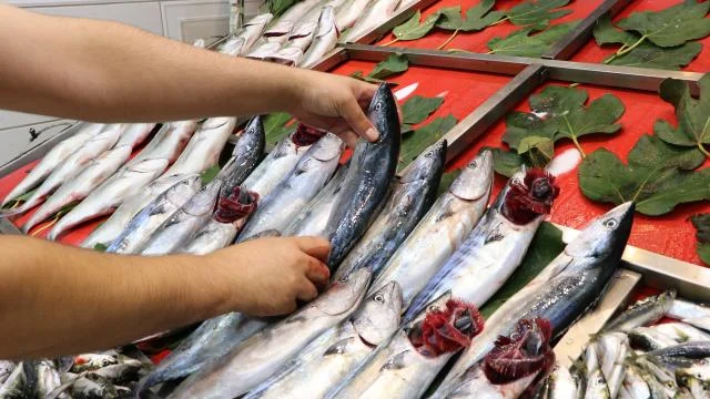 İstanbul’da tezgahlar 7 bin 500 ton balıkla buluştu