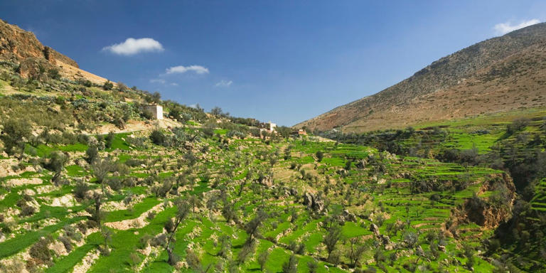 Arkeologlar 5.000 Yıldır Zamanın Kaybettiği Bir Topluluğu Ortaya Çıkardı