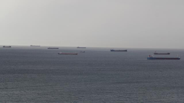 Fırtınadan kaçan gemiler Sinop Limanı’na demirledi