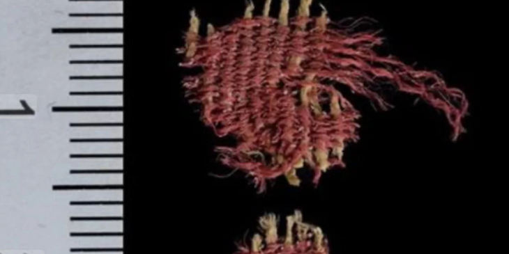 Judean Çölü’ndeki bir mağarada böcek boyasıyla boyanmış 4000 yıllık kumaş keşfedildi