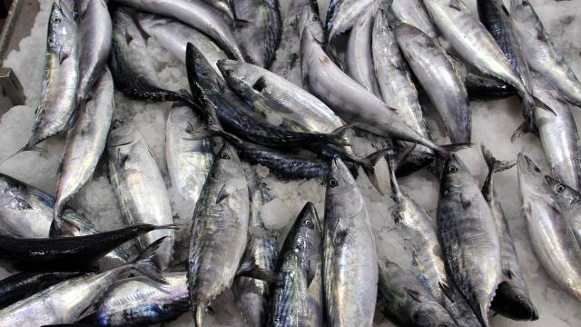 Hava koşulları balık fiyatlarını artırdı