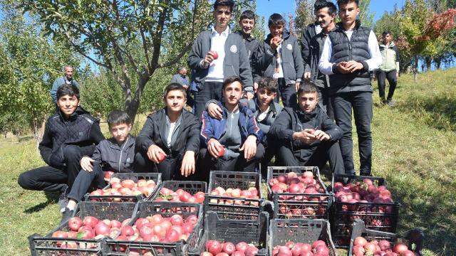 Hakkari’de tarım öğrencileri elma hasadı yaptı