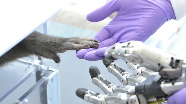 Protez eller düşünce gücüyle hareket ettirildi