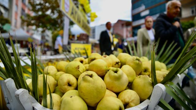 Sakarya’da “5. Pamukova Ayva ve Yöresel Ürünler Festivali” başladı