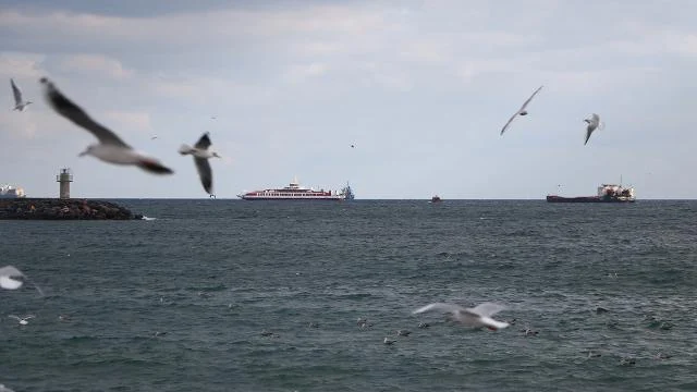 Karadeniz’deki ısınma Marmara’da alg patlamalarını tetikleyebilir