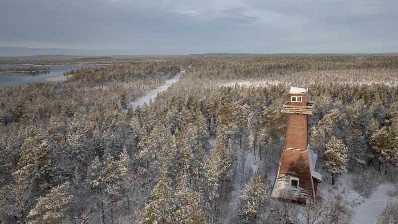 Norveç, yasa dışı girişlere karşı Rusya sınırına tel örgü çekmeyi planlıyor