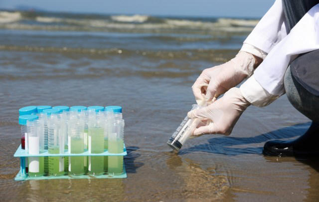 Bilim insanları deniz suyundan güç üretebilen enerji hasat cihazı geliştirdi