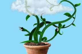 Yapay bitki karbonu emerek elektrik üretiyor