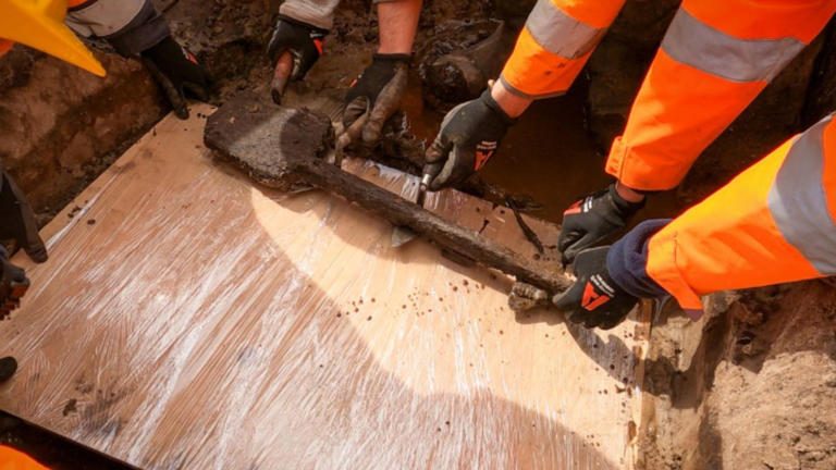 Dorset’teki Arne Moors bölgesinde 3.500 yıllık nadir Bronz Çağı aleti keşfedildi