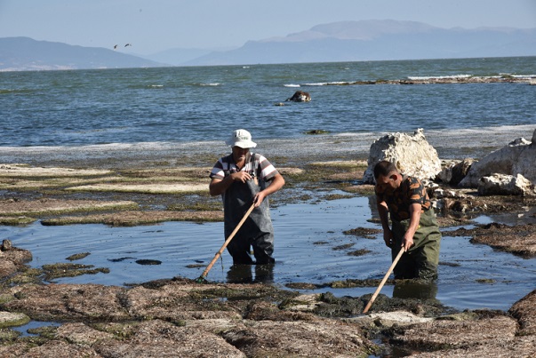 Eğirdir Gölü’nü kurtarma operasyonu başladı