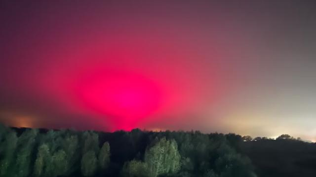 Kuzey ışıklarını gördüm diye sevindi, domates fabrikası çıktı