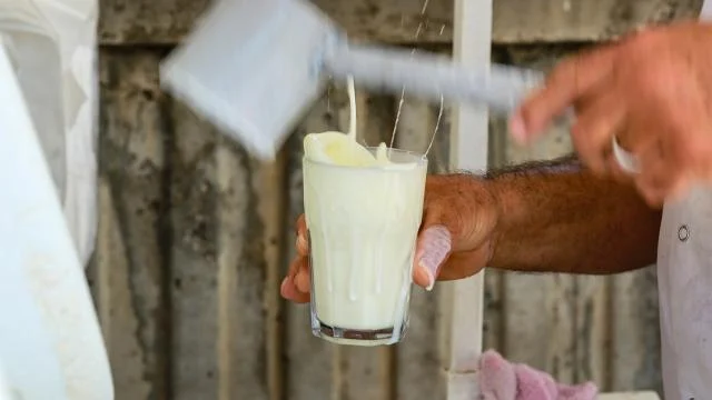 Ayran üretiminde rekor