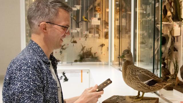 Cambridge sergisinde yapay zeka ölü hayvanlara ses veriyor