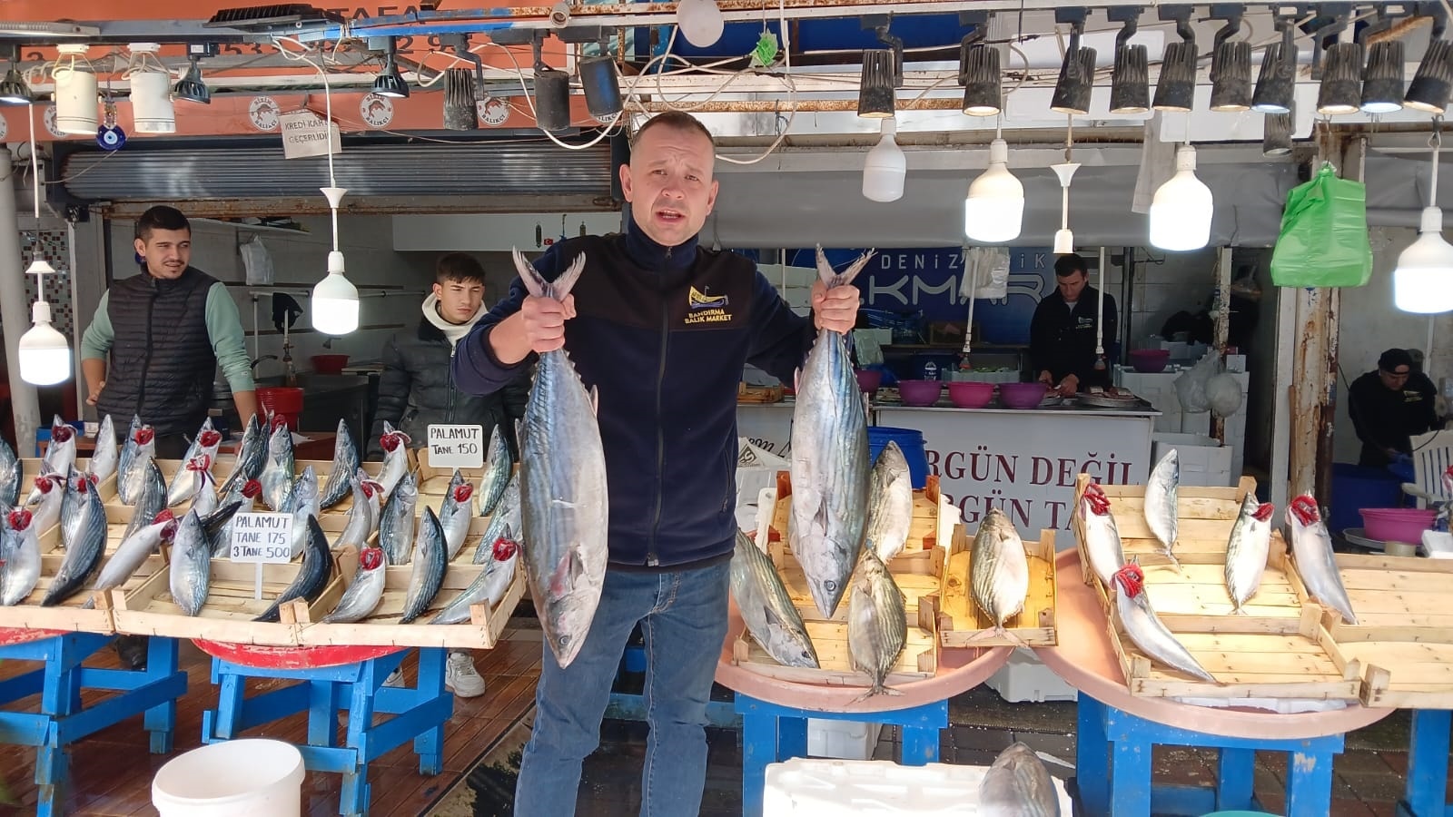 Palamut için denize açıldılar, milyoner olarak geri döndüler