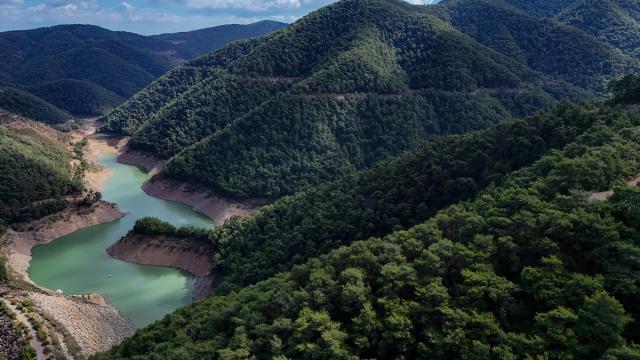 16 bin hektarı aşkın alanda ağaçlandırma yapılacak
