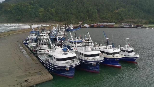 Sinop’ta olumsuz hava koşulları nedeniyle balıkçı tekneleri limana sığındı