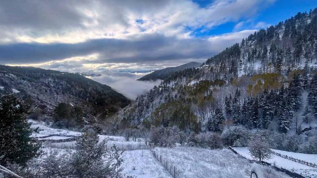 Gümüşhane’de kar ve sis buluştu ortaya tablo gibi bir fotoğraf çıktı