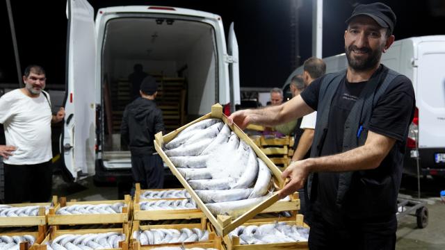 Sinop’ta ağlara bir gecede 2 bin kasa palamut takıldı