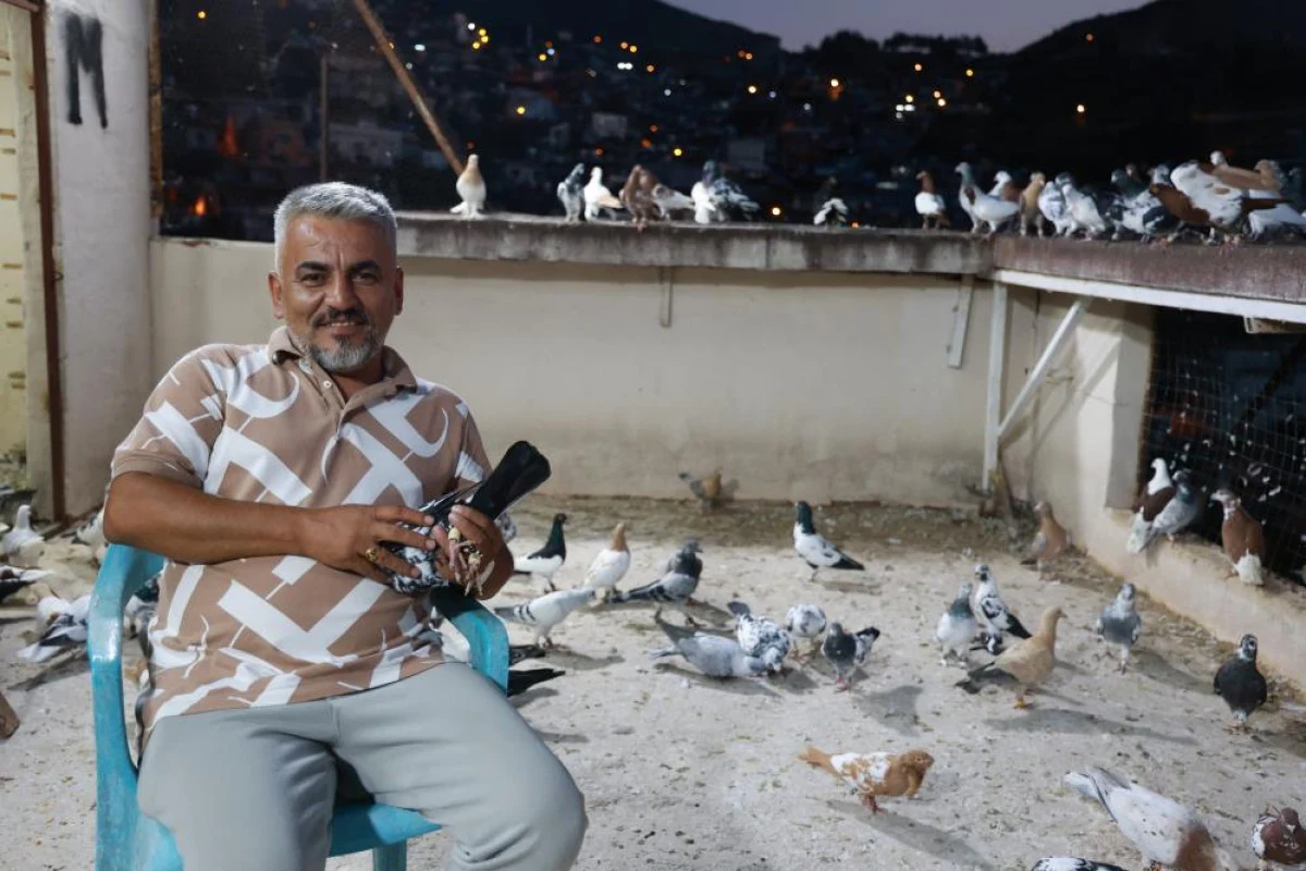 Hatay’da deprem bile güvercin besleme tutkusuna engel olamadı