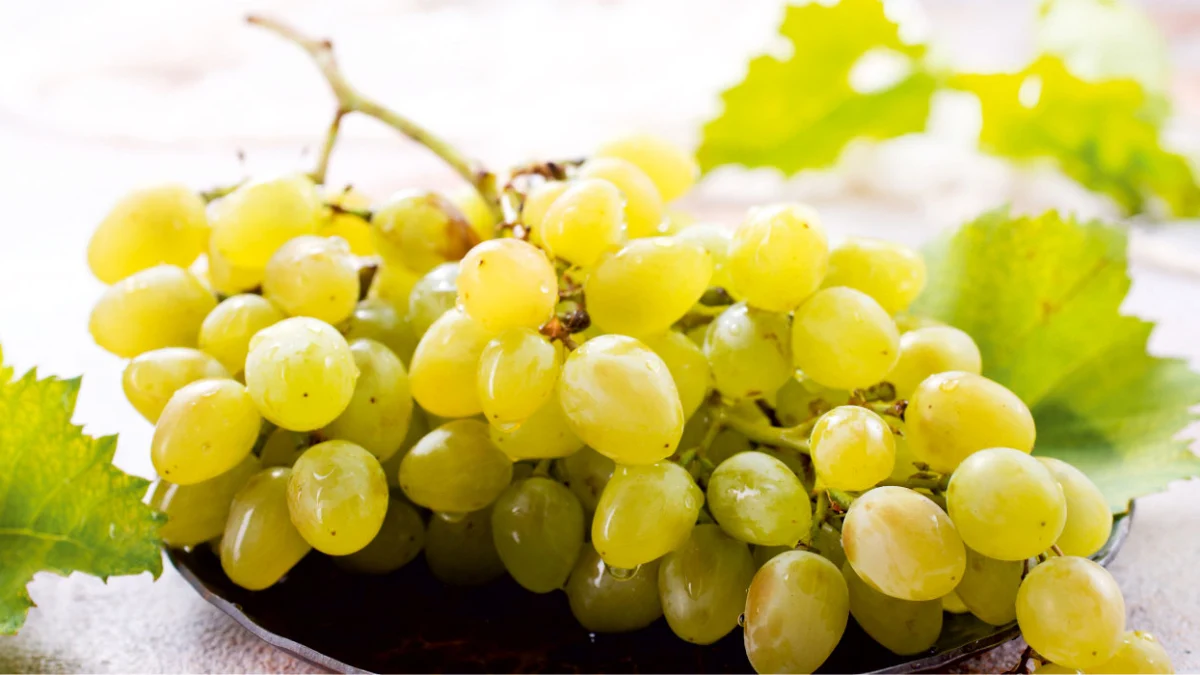 Sapına 1 tane saplayın, günlerce tazecik saklayın…