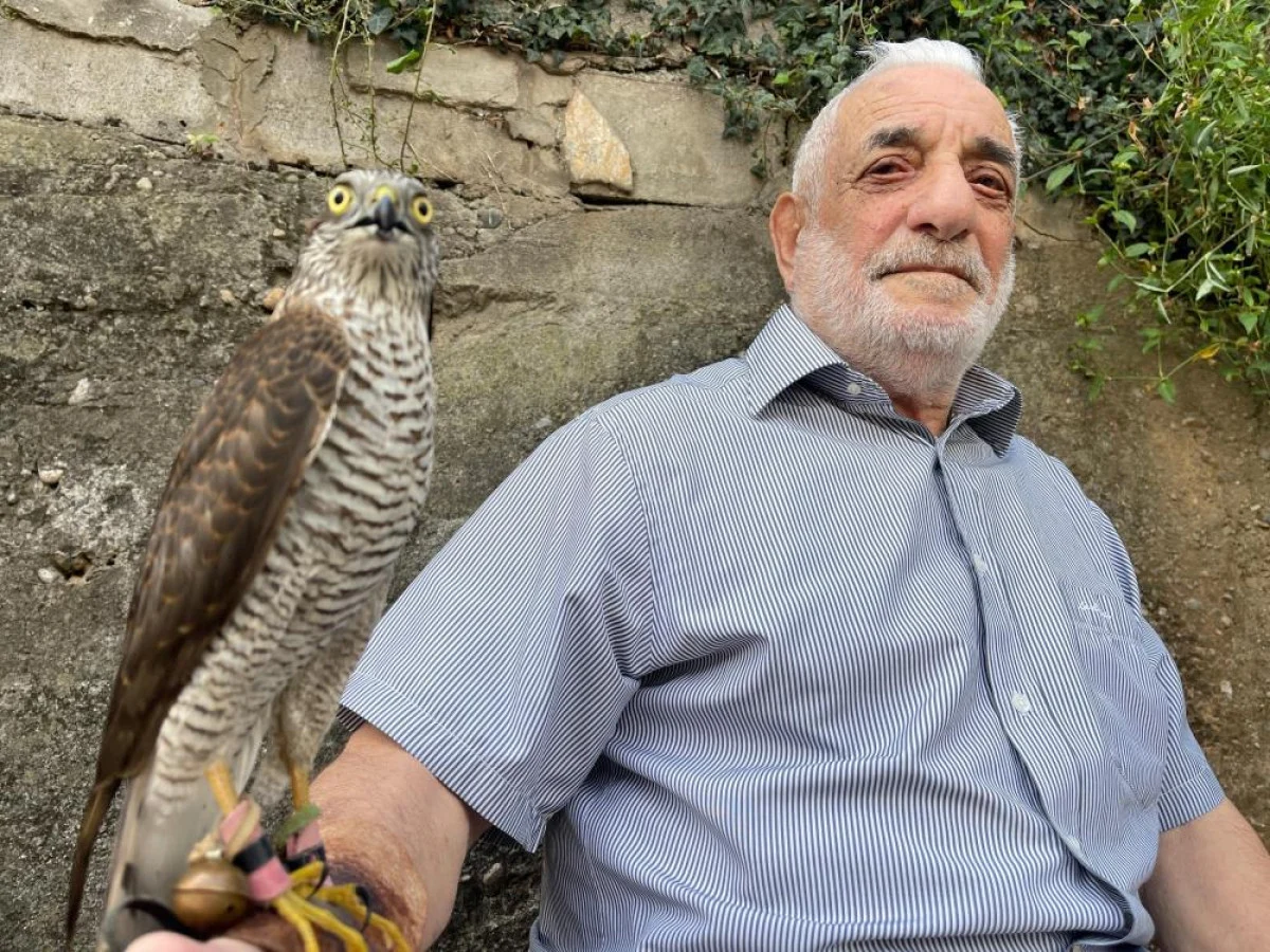 Rize’de 600 yıllık gelenek: Atmaca avcılığı