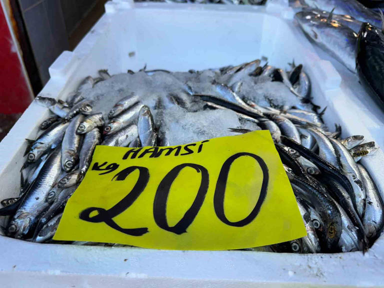 Rize’de hamsi tezgaha 200 TL’den girdi, palamudun saltanatı devam etti