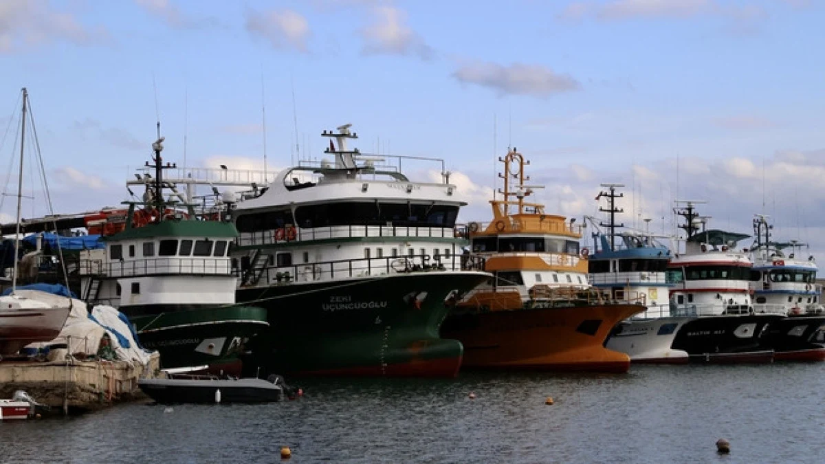 Sinop’lu balıkçılar: “Bizim tutacağımız hamsileri palamut yedi”