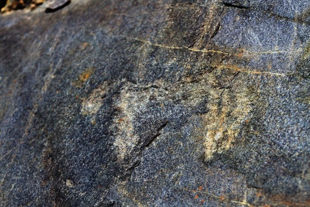 İtalyan Alpleri’nde 3000 Metrede Keşfedilen Avrupa’nın En Yüksek Tarih Öncesi Petroglifleri