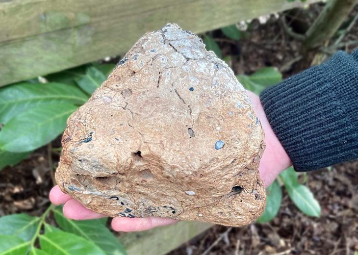 Witney Battaniyesi ile ünlü bir bölgede binlerce yıl öncesine dayanan tekstil üretimine dair kanıtlar bulundu