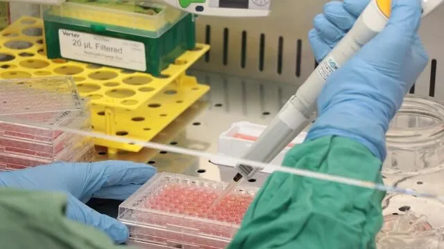 Türkiye’de bilim merkezi sayısı 40’a çıkacak