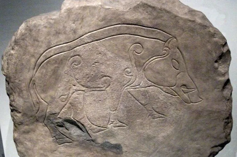 İskoç ve İrlandalılar, Gizemli Piktlerin Soyunu Taşıyor