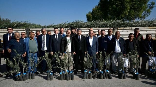 Osmaniye’de 450 üreticiye zeytin fidanı dağıtıldı