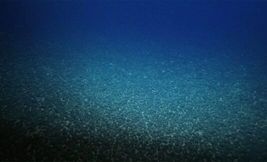 Cumhurbaşkanı Erdoğan Irak Başbakanı Sudani’yi kabul etti