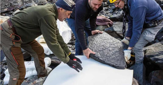 Yürüyüşçü Çift, Alplerde Ayak İzleri Olan Garip Bir Kayayı buldular