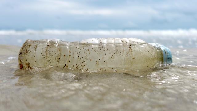 Doğu Karadeniz’deki dip çamuru plastik kirliliğini ortaya çıkardı